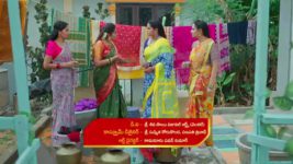 Maamagaru (Star Maa) S01 E241 Lakshmi, Vasantha in Awe