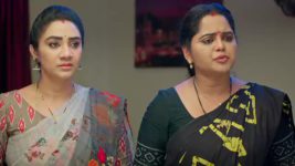 Maamagaru (Star Maa) S01 E245 Srikanth Rebukes Pushpa