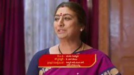 Maamagaru (Star Maa) S01 E249 Unexpected Twist for Chengayya