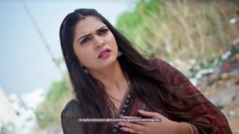 Nindu Noorella Saavasam S01 E254 4th June 2024