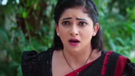 Nindu Noorella Saavasam S01 E265 17th June 2024