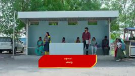 Nuvvu Nenu Prema S01 E641 Vikramaditya Annoys Padmavathi