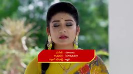 Paape Maa Jeevana Jyothi S01 E967 Yamini Berates Surya, Jyothi