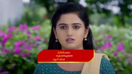 Paape Maa Jeevana Jyothi S01 E977 The Family Is Uncertain of Kutti