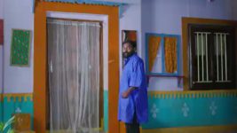 Paluke Bangaramayana S01 E244 Happy Moment for Nagarathnam