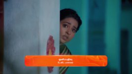 Sandhya Raagam (Tamil) S01 E210 5th June 2024