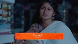 Veera (Zee Tamil) S01 E86 24th June 2024