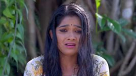 Amma S01E271 29th August 2022 Full Episode