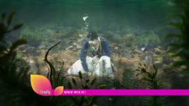 Arabya Rajani S01E39 27th February 2019 Full Episode