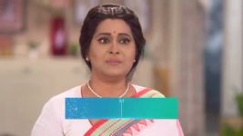 Gramer Rani Binapani S01E246 Chandrima Plays Pretend Full Episode