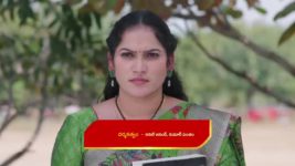 Guppedantha Manasu S01 E634 Vasudhara Feels Insulted