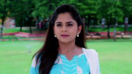 Guppedantha Manasu S01E166 Vasudhara Gets Aggressive Full Episode