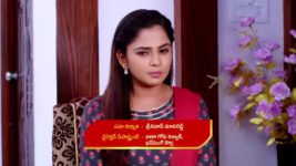 Guppedantha Manasu S01E181 Rishi Backs Vasudhara Full Episode