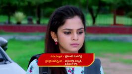 Guppedantha Manasu S01E206 A Warning for Vasudhara Full Episode