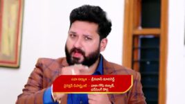 Guppedantha Manasu S01E231 Vasudhara in a Predicament Full Episode