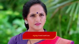 Guppedantha Manasu S01E244 Rishi Corners Jagathi Full Episode