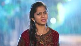 Guppedantha Manasu S01E297 Jagathi's Concern for Vasudhara Full Episode