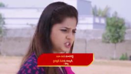 Guppedantha Manasu S01E388 Rishi Gets out of Control Full Episode