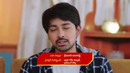 Guppedantha Manasu S01E395 Rishi, Vasudhara's Tiff Full Episode