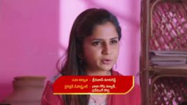 Guppedantha Manasu S01E442 Vasudhara in Distress Full Episode