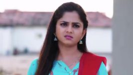 Guppedantha Manasu S01E443 Vasudhara Shocks Rishi Full Episode