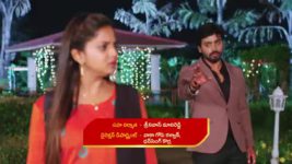 Guppedantha Manasu S01E462 Vasudhara Hurts Rishi Full Episode