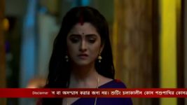 Jamuna Dhaki (Bengali) S01E135 24th November 2020 Full Episode