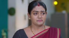 Karthika Deepam S04 E30 Deepa Feels Apologetic