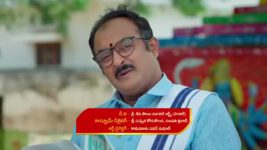 Maamagaru (Star Maa) S01 E248 Pandu's Plea to Lakshmi