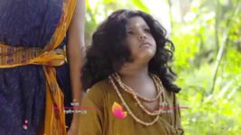 Mahaprabhu Shree Chaitanya S01E33 7th June 2017 Full Episode