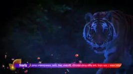 Naagin (Colors Bangla) S06 E37 Rehan is alive