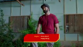 Nuvvu Nenu Prema S01 E654 Anu's Arrogance towards Padmavathi