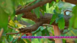 Pinjara Khubsurti Ka S01E97 4th January 2021 Full Episode