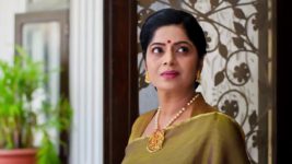 Prema Entha Maduram S01 E1177 13th February 2024