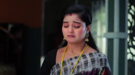 Prema Entha Maduram S01 E1181 17th February 2024