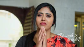 Prema Entha Maduram S01 E1192 1st March 2024