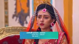 Radha krishna (Bengali) S01E816 Krishna Meets Hans Full Episode