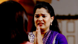 Rani Me Honar S01 E251 Vaishali's Change Of Heart