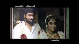 Saravanan Meenatchi S01E43 Sakthi and Meenakshi's photo Full Episode