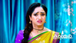 Trinayani (Telugu) S01 E1014 24th August 2023