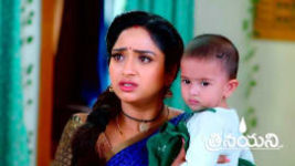 Trinayani (Telugu) S01 E1017 28th August 2023