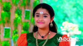 Trinayani (Telugu) S01 E1071 30th October 2023