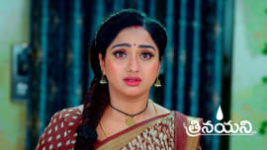 Trinayani (Telugu) S01 E1079 8th November 2023