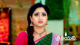 Trinayani (Telugu) S01 E1089 20th November 2023