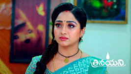 Trinayani (Telugu) S01 E1090 21st November 2023