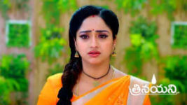 Trinayani (Telugu) S01 E1094 25th November 2023