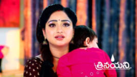 Trinayani (Telugu) S01 E1101 4th December 2023