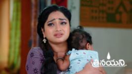 Trinayani (Telugu) S01 E1172 24th February 2024