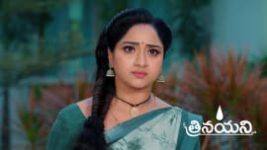 Trinayani (Telugu) S01 E1177 1st March 2024