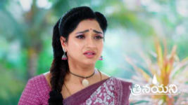 Trinayani (Telugu) S01 E1187 13th March 2024